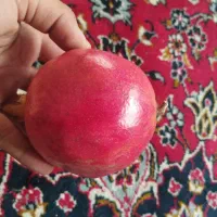 انار شیرین|خوردنی و آشامیدنی|نگین شهر, |دیوار