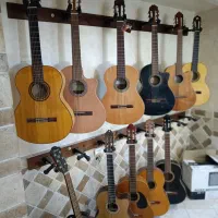 فروش گیتار از مبتدی تا حرفه ای الحمبرا آلمانزا