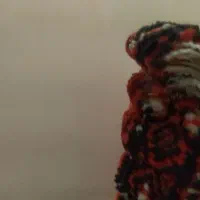 پشتی|پشتی|بیرجند, |دیوار