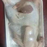 گوشت مرغ کیلویی ۱۲۰تومن