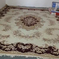 فرش ۷۰۰ شانه|فرش|اندیمشک, |دیوار