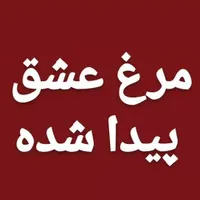 مرغ عشق پیدا شده
