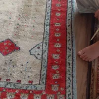 قالیچه دست باف پشم|فرش|کرج, اتحاد|دیوار