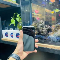 iphone11 خاص برای یک آدم خاص پسند|موبایل|مشهد, کوی ولیعصر|دیوار