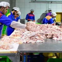 نیروی ساده برای شرکت