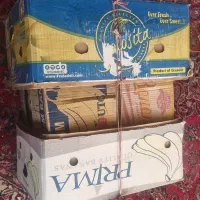 کارتن موزی جعبه موزی