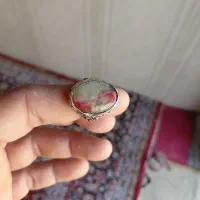 انگشتر شجر بحری