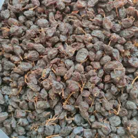 مویز و.کشمش بهترین و مرغوب ترین