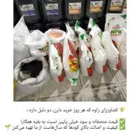 فروش عمده کود زعفران برنامه تغذیه