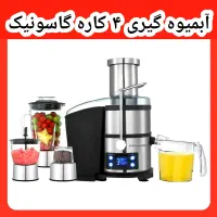 آبمیوه گیری ۴ کاره گاسونیک پانا تک کاره عصاره گیر