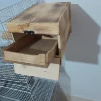 لانه عروس کوتوله