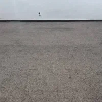 پالاز موکت پرز بلند|موکت|دزفول, |دیوار