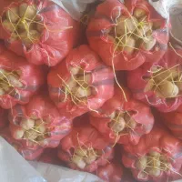 سیب زمینی ۳۵۰ کیلو