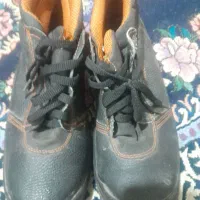 کفش|کیف، کفش، کمربند|زاهدان, |دیوار