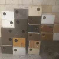 لونه پرنده