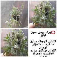 گل آویز طبیعی