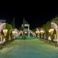 عروسی وختم و تولد ارزان ترین قیمت