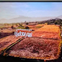 اسنوا 43 اسمارت هوشمند در حد صفر|تلویزیون و پروژکتور|رشت, پارک شهر|دیوار