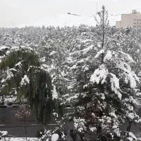 ۹۳مترسالاریه ویوابدی