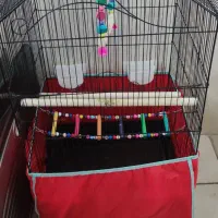 قفس بزرگ با وسایل ها فقط یک میلیون صد