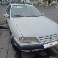 زانتیا بی رنگ