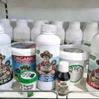 کود مخصوص افزایش باردهی و درشت شدن میوه
