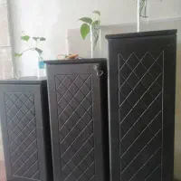 جا کفشی
