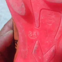 فوتبالی سایز34و36|کفش و لباس بچه|گنبد کاووس, |دیوار