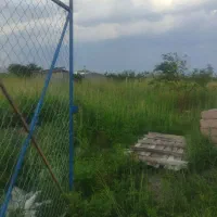 زمین کشاورزی|فروش دفتر صنعتی، کشاورزی، تجاری|شوط, |دیوار