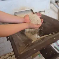 برنج اصل /آستانه اشرفیه/معطر/3سورت شده/خوش پخت