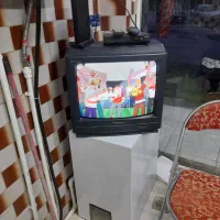 تلوریون با دستگاه و انتن|تلویزیون و پروژکتور|خمام, |دیوار