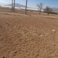 فروش زمین کشاورزی