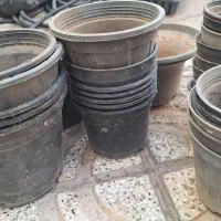 گلدان لاکی  کار کرده تمیز