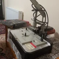 دم چلچله زن
