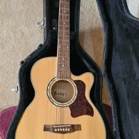 گیتار MEA-17|گیتار، بیس، امپلیفایر|شیراز, پودنک|دیوار