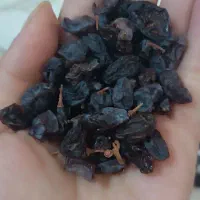 کشمش آفتابی بوانات|خوردنی و آشامیدنی|شیراز, مسکن مهر شیراز|دیوار