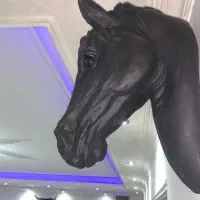 دیوارکوب اسب