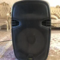 باند عروسی بلوتوث و فلش خور