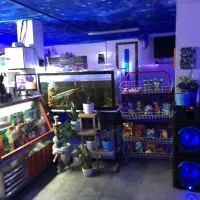 اجاره سفره خانه سنتی با تمامی امکانات