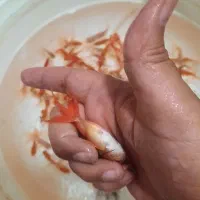 گلفیش معاوضه با هرچی ک ب درد بخوره