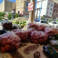 فروش عمده میوه تره بار قیمت استثنایی