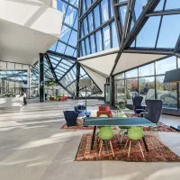 نمایندگی کافه لینگولاو