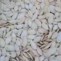 فروش تخمه کدو