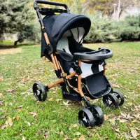 کالسکه دلیجان - مدل بنیتا - چرخ بزرگ