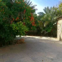 خانه ویلایی سر دو نبش دوبرکوچه بلوار ارتش کوچه 35