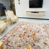 راننده جهت کار در قالیشویی