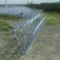 شاخ گوزنی ارتفاع ۹۰|مصالح و تجهیزات ساختمان|رشت, آزادگان|دیوار