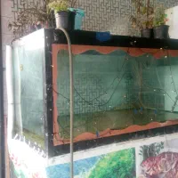 آکواریوم بزرگ فروشگاهی