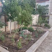خدمات باغبانی|خدمات باغبانی و درختکاری|کرج, کوی کارمندان شمالی|دیوار