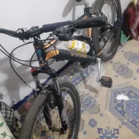 دوچرخه ویوا اصل|دوچرخه، اسکیت، اسکوتر|گالیکش, |دیوار